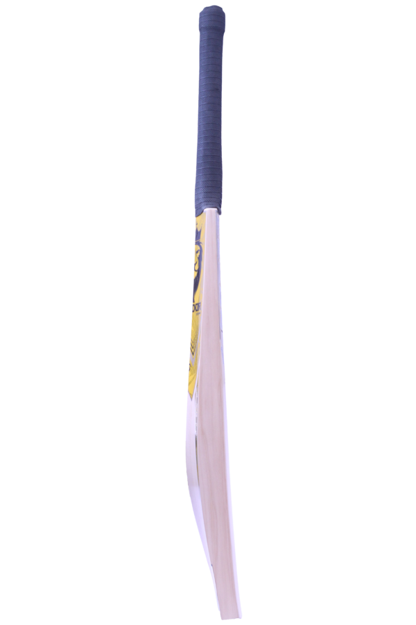 Genesis 1.3 - Image 4